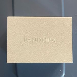 Pandora cleaning kit